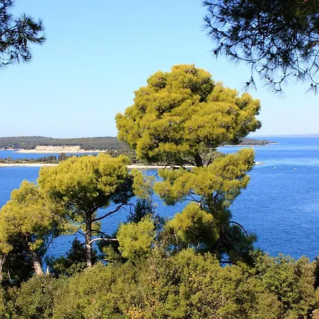 With Wifi Stinjan, - 24743 Apartamento