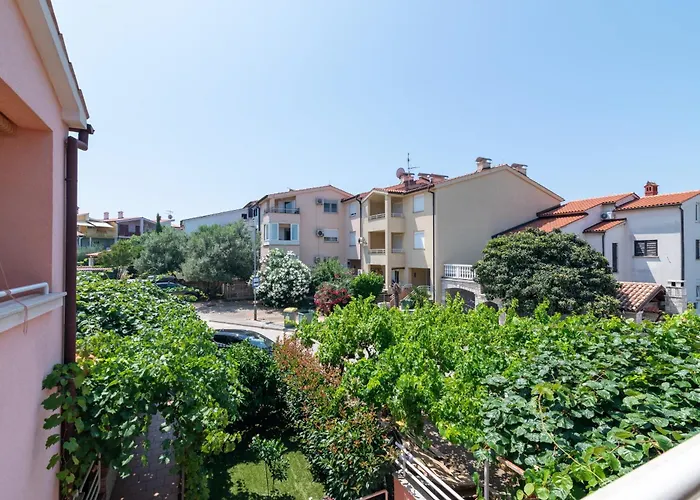 With Wifi Stinjan, - 24743