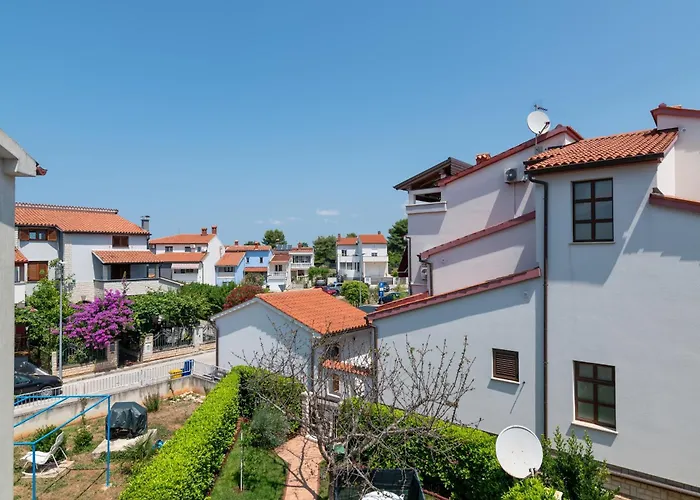 With Wifi Stinjan, - 24743 * Pola