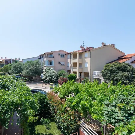 With Wifi Stinjan, - 24743